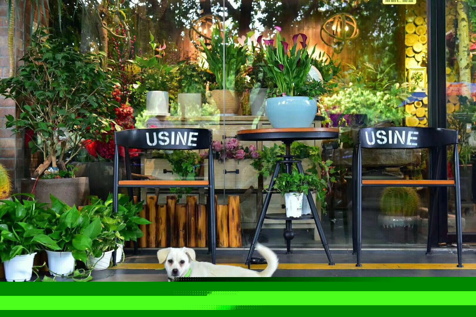 花卉綠植擺放裝飾效果圖